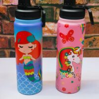 800ml Insulated Stainless Steel Bottle